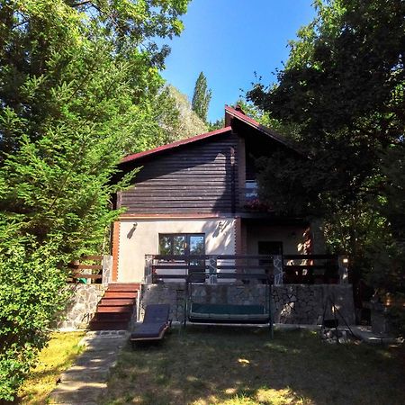 Mountain Family Chalet On Prahova Valley Comarnic Luaran gambar