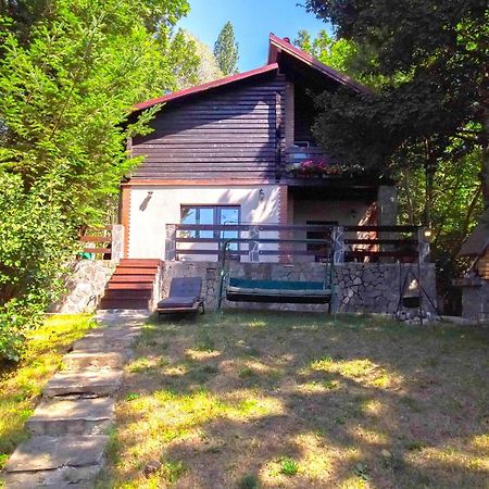 Mountain Family Chalet On Prahova Valley Comarnic Luaran gambar