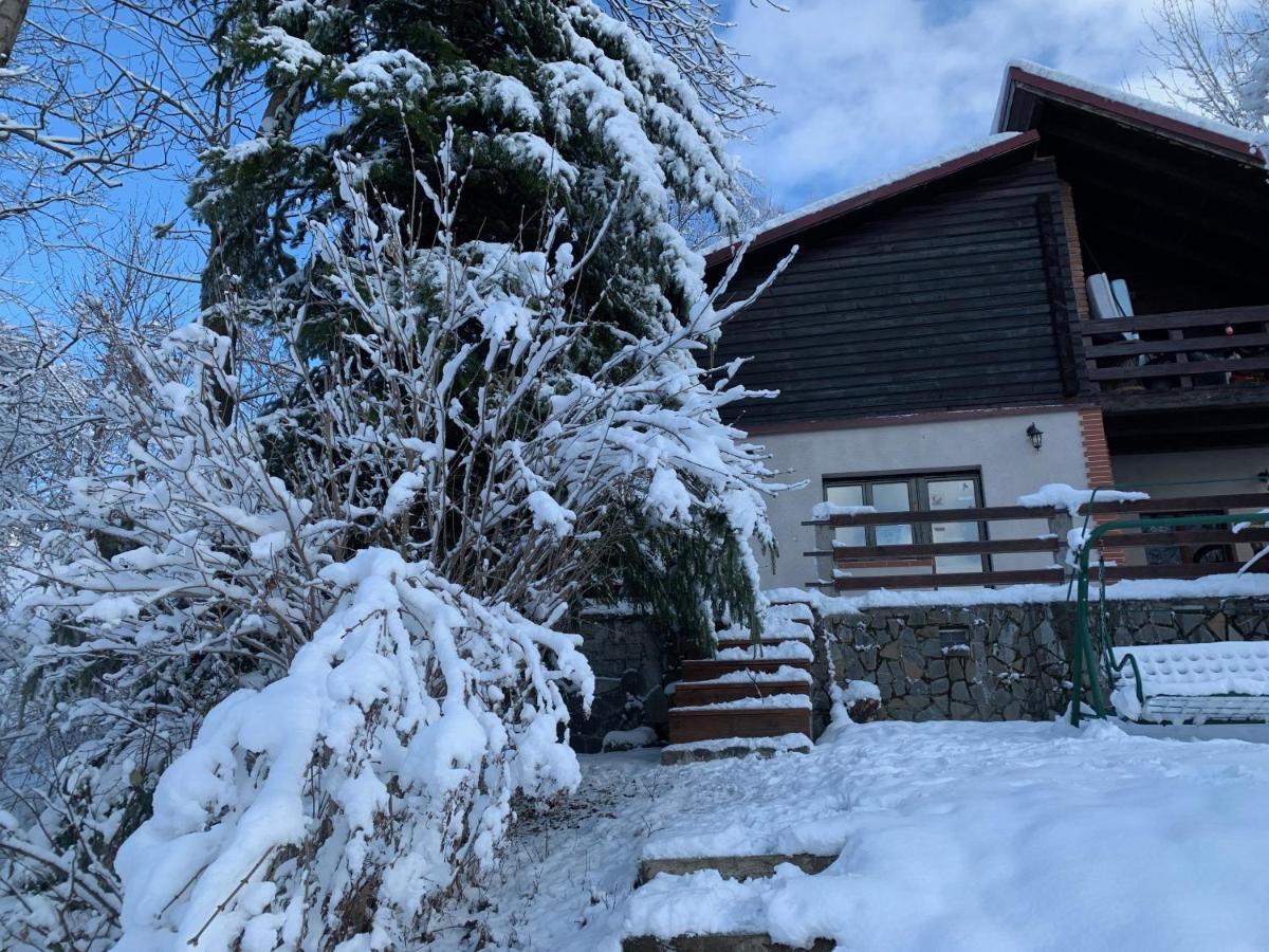 Mountain Family Chalet On Prahova Valley Comarnic Luaran gambar