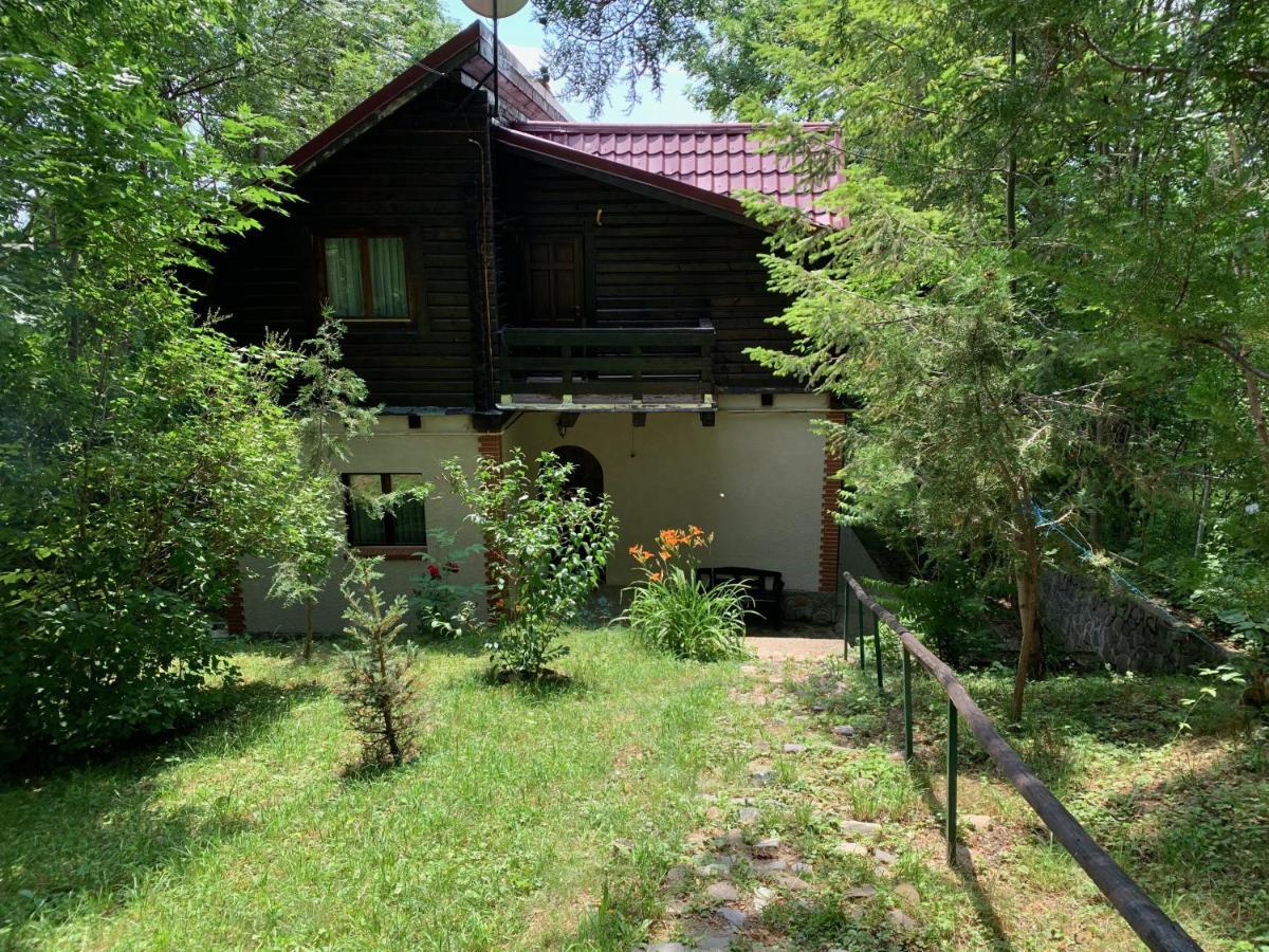 Mountain Family Chalet On Prahova Valley Comarnic Luaran gambar