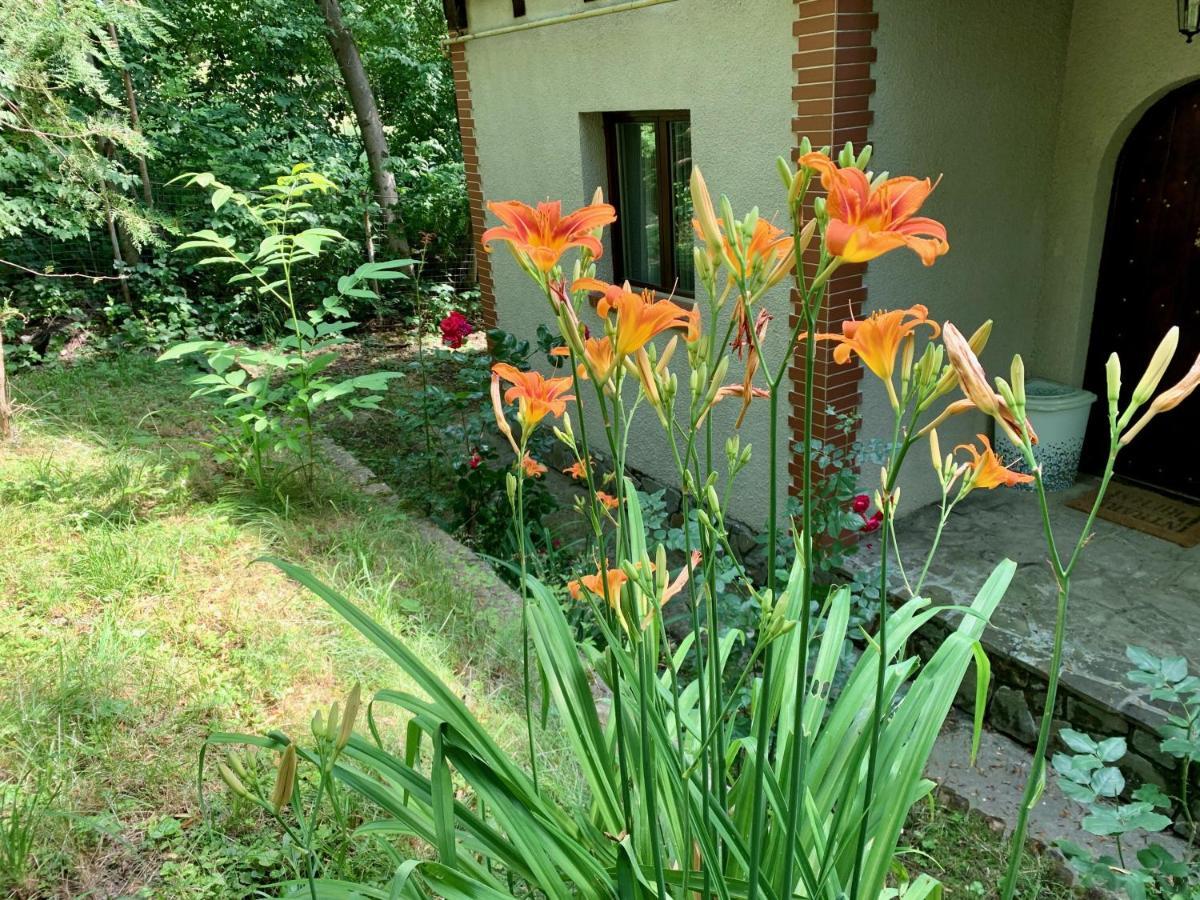 Mountain Family Chalet On Prahova Valley Comarnic Luaran gambar
