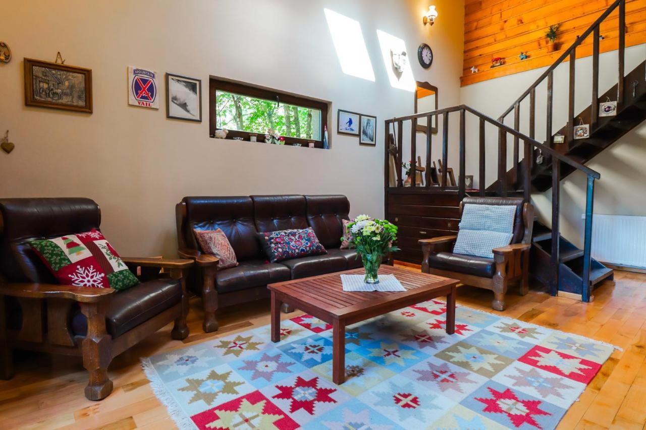 Mountain Family Chalet On Prahova Valley Comarnic Luaran gambar