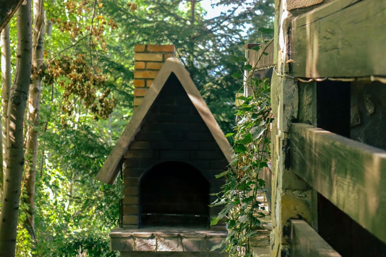 Mountain Family Chalet On Prahova Valley Comarnic Luaran gambar