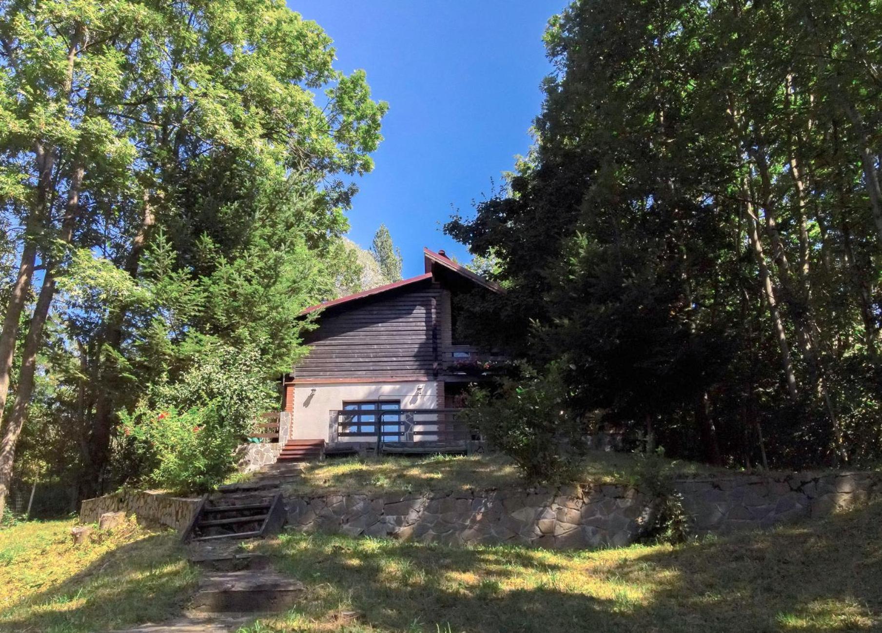Mountain Family Chalet On Prahova Valley Comarnic Luaran gambar