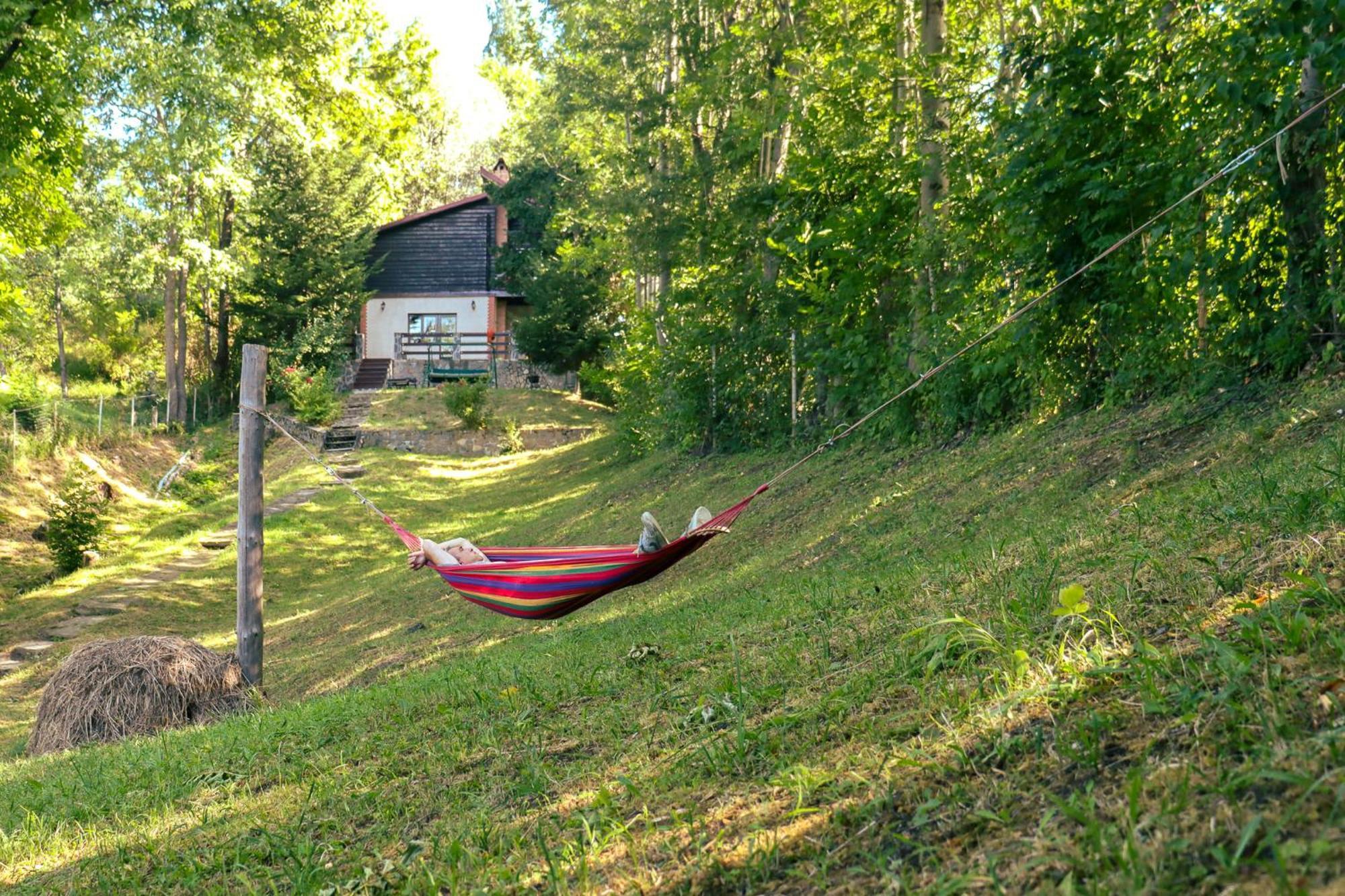 Mountain Family Chalet On Prahova Valley Comarnic Luaran gambar